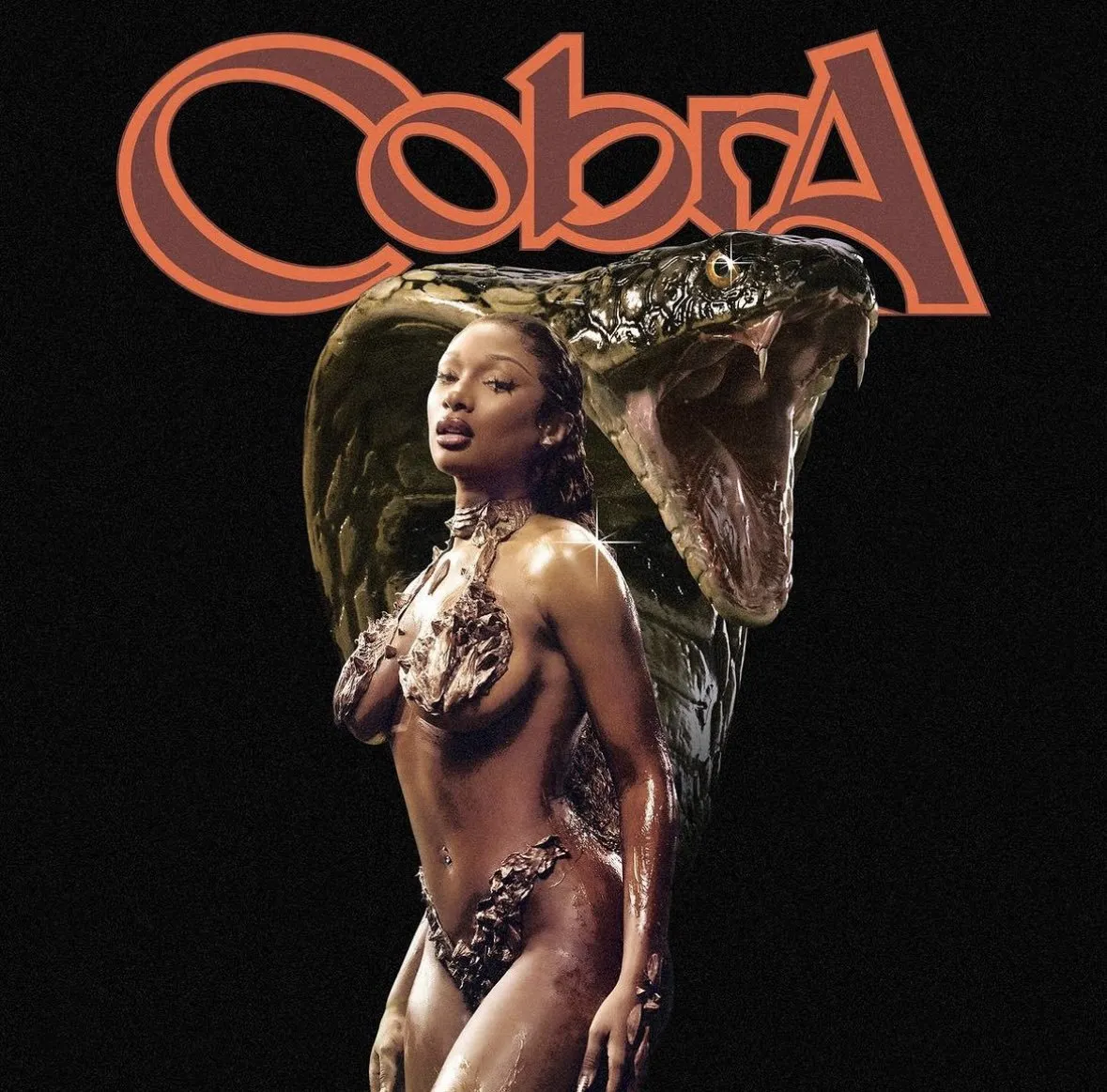 Megan Thee Stallion‘s “Cobra” Free Download MP3
